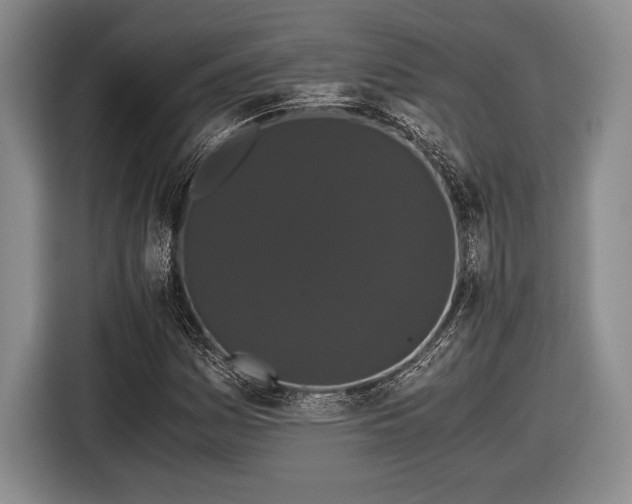 X0000116481161200912161246