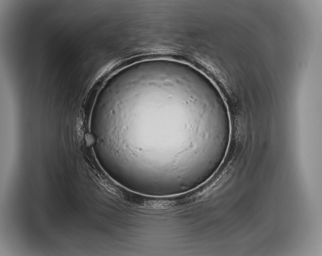 X0000116481163200912161246