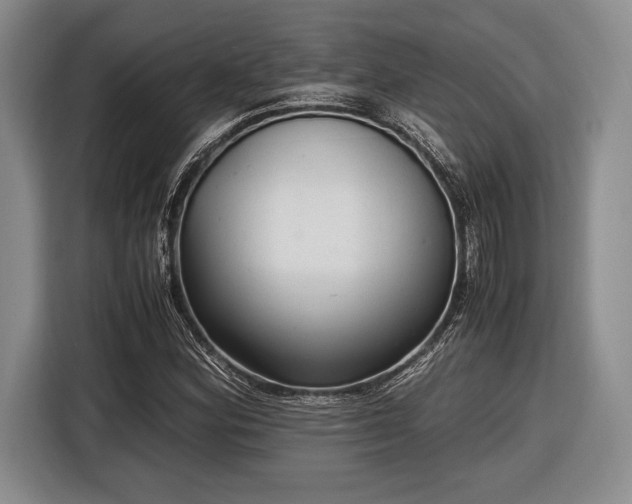 X0000116481164200912161246