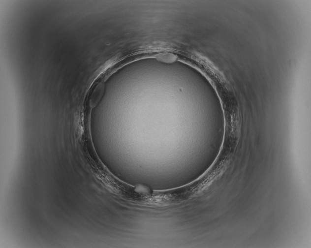 X0000116481165200912161246