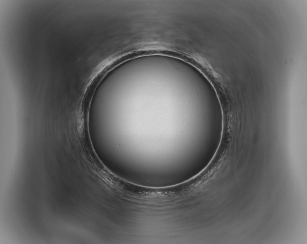 X0000116481167200912161246