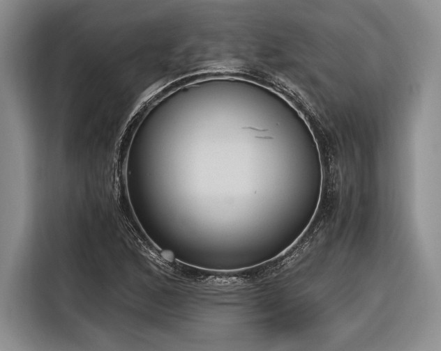 X0000116481168200912161246