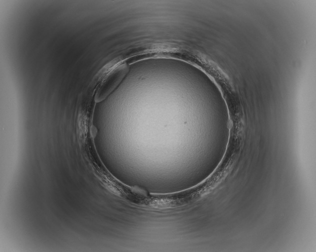 X0000116481169200912161246