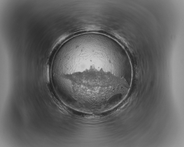 X0000116481171200912161246