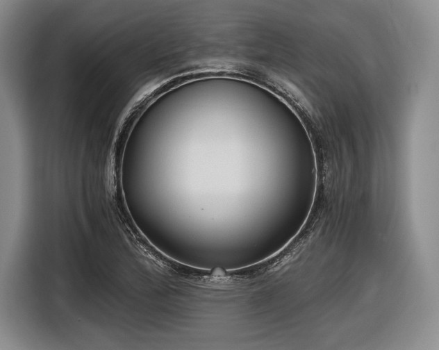 X0000116481172200912161246