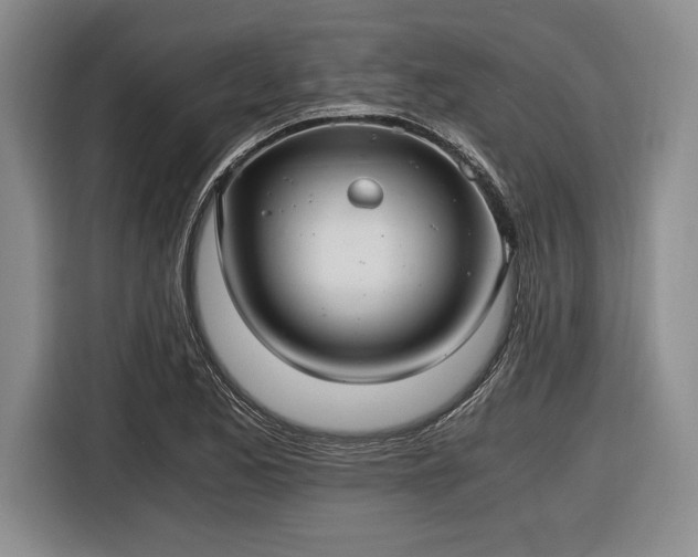 X0000116481173200912161246