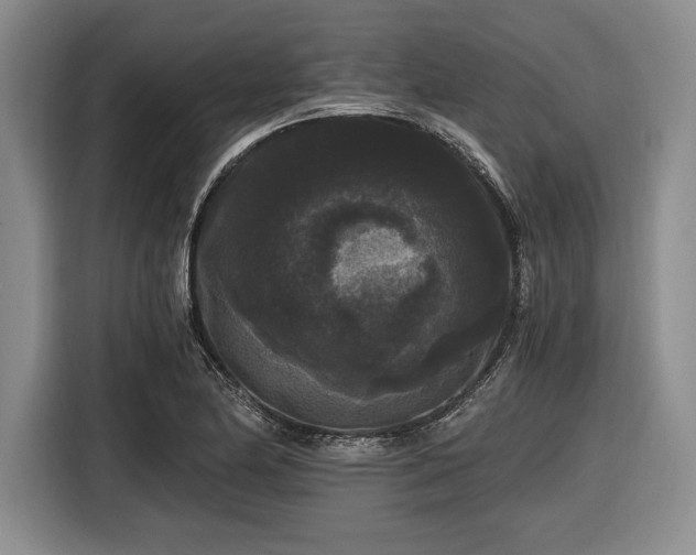 X0000116481174200912161246