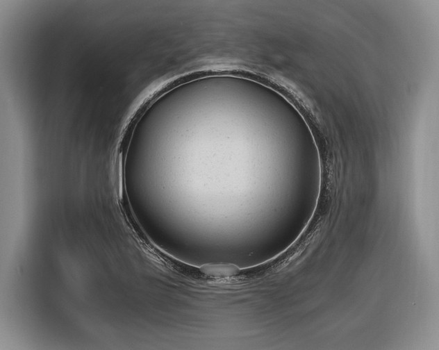 X0000116481175200912161246