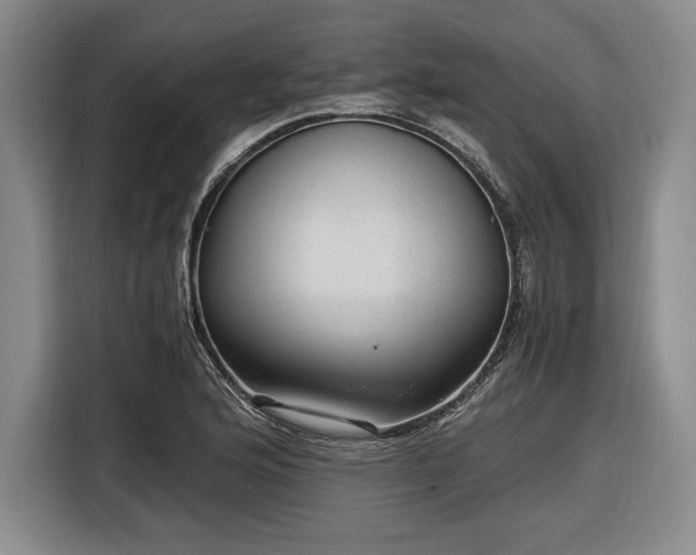 X0000116481176200912161246