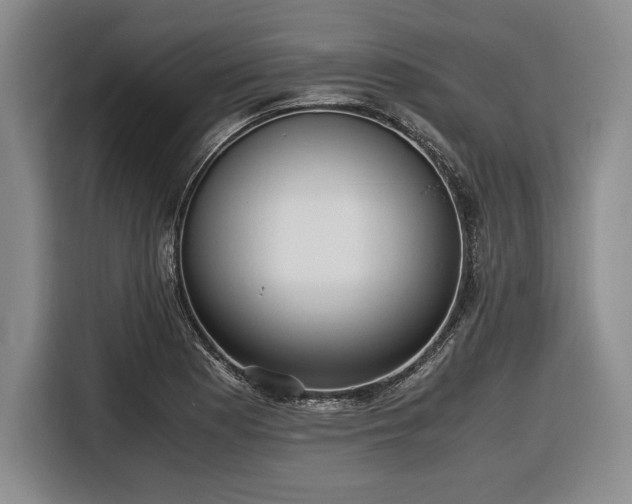 X0000116481177200912161246