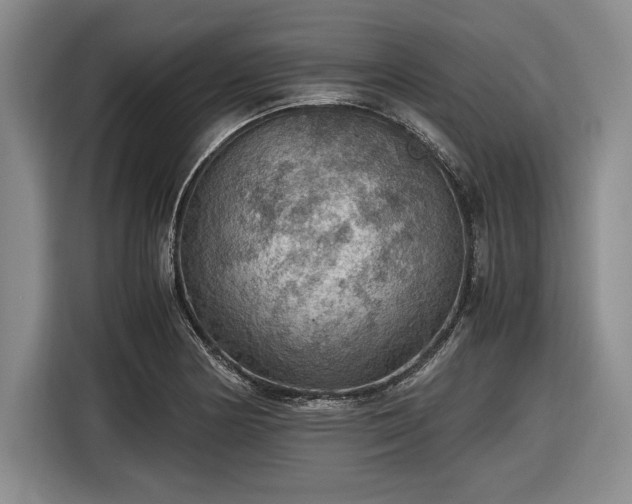 X0000116481178200912161246