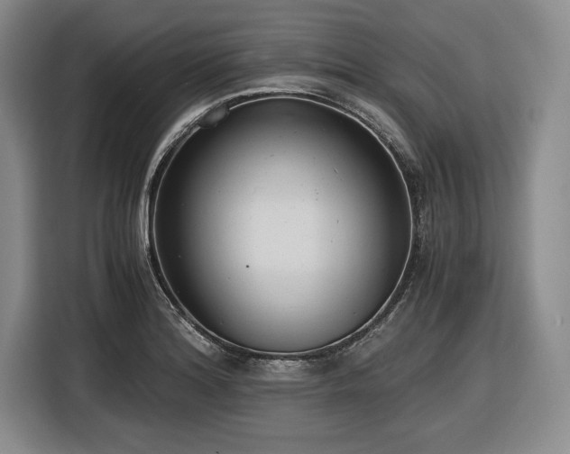 X0000116481180200912161246