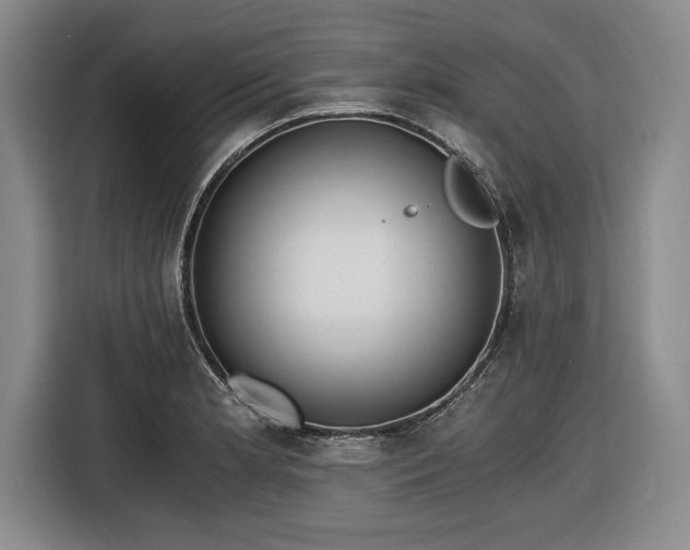 X0000116481181200912161246