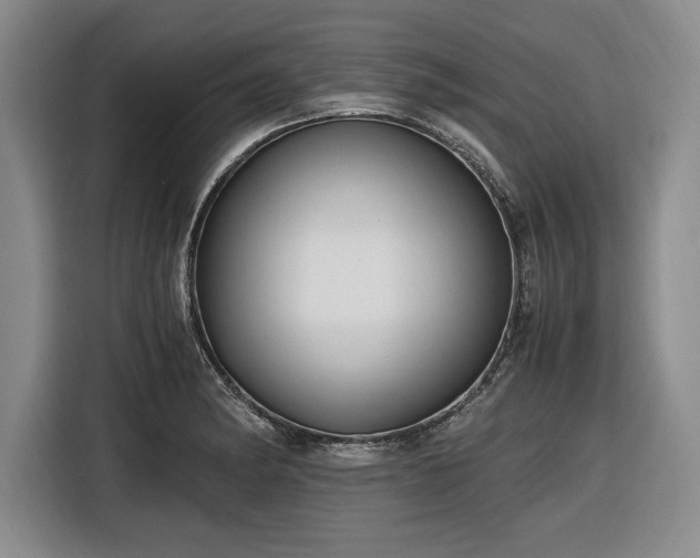 X0000116481182200912161246