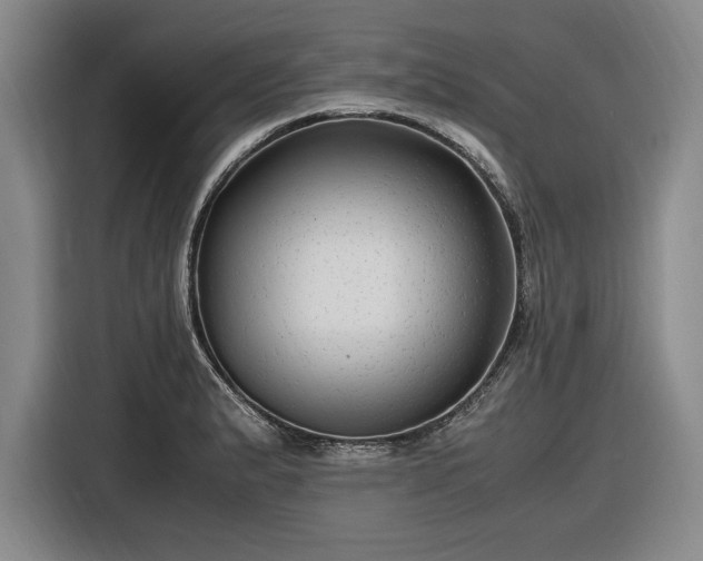 X0000116481183200912161246