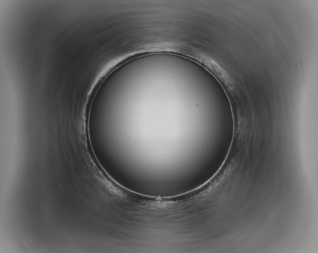 X0000116481184200912161246