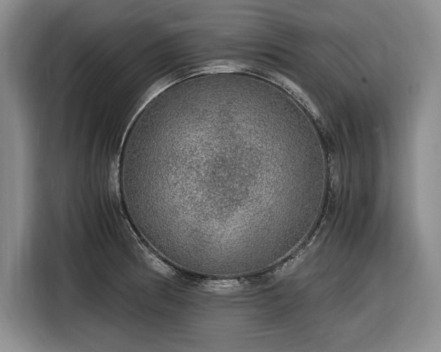 X0000116481186200912161246