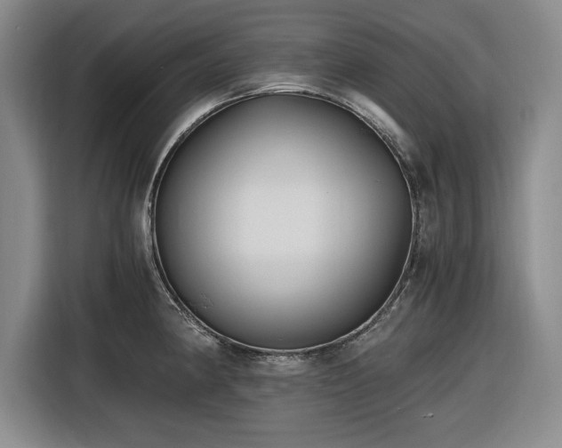 X0000116481190200912161246