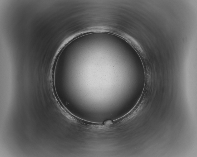 X0000116481192200912161246