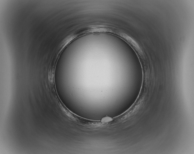 X0000116481193200912161246