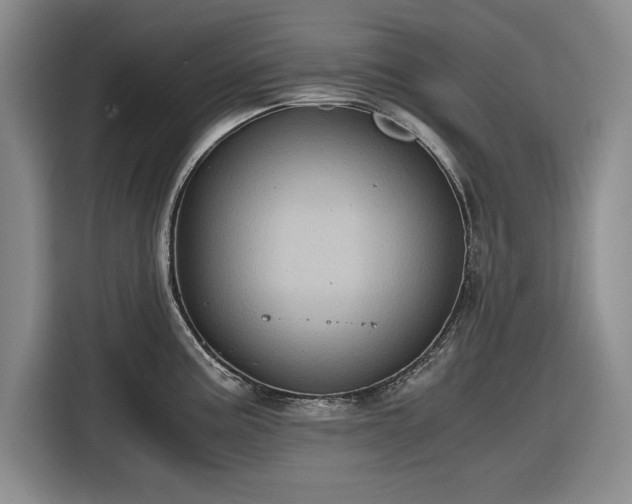 X0000116481195200912161246