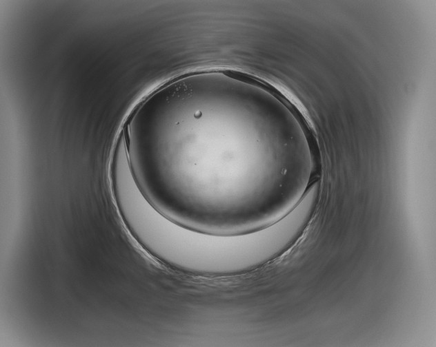 X0000116481197200912161246