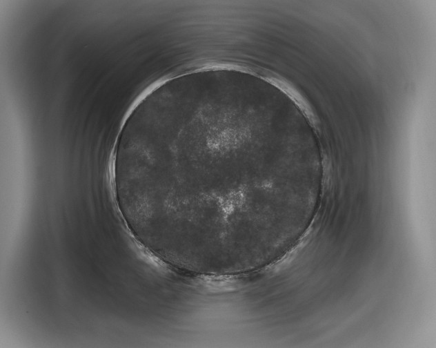 X0000116481198200912161246