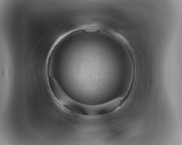 X0000116481200200912161246