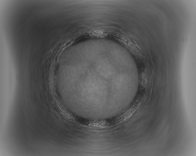 X0000116481201200912161245