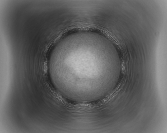 X0000116481204200912161245