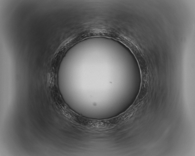 X0000116481207200912161245