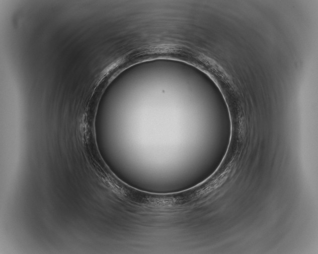 X0000116481210200912161245