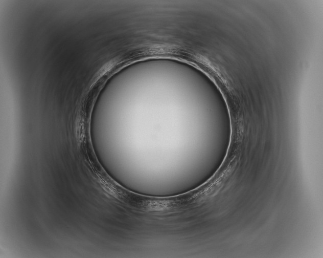 X0000116481211200912161245