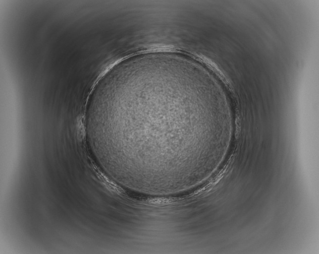 X0000116481212200912161245