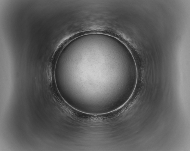 X0000116481214200912161245