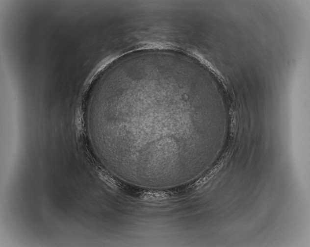 X0000116481215200912161245