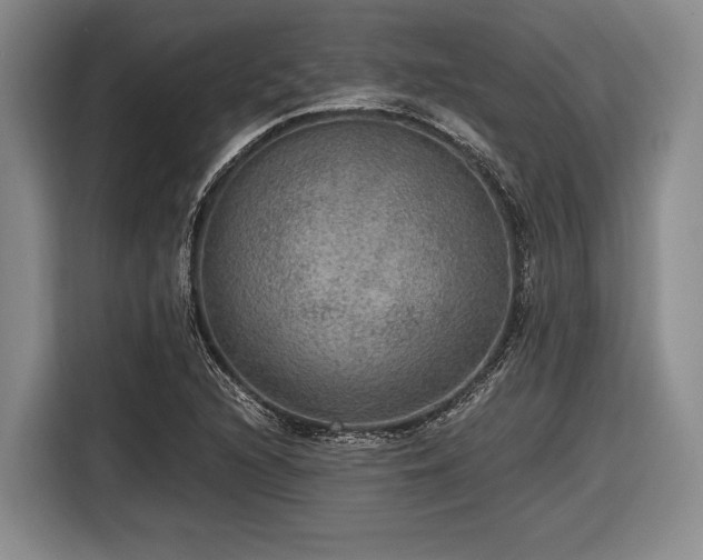 X0000116481216200912161245