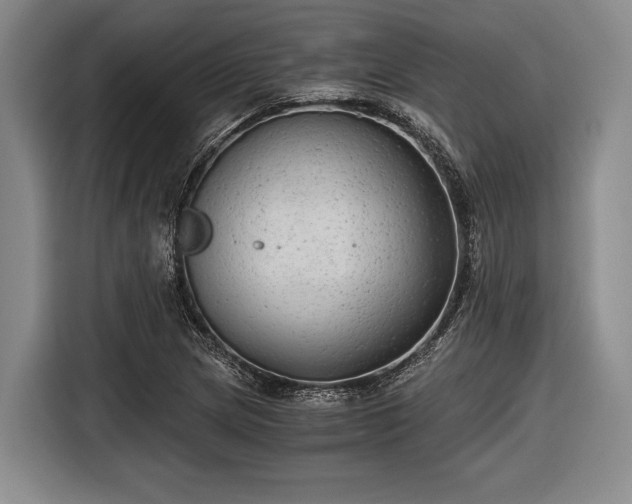 X0000116481217200912161245