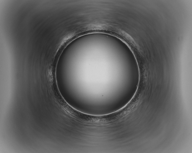 X0000116481218200912161245