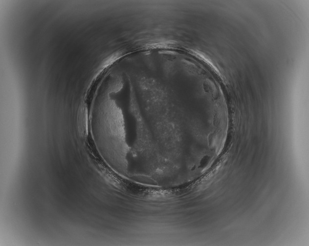 X0000116481219200912161245