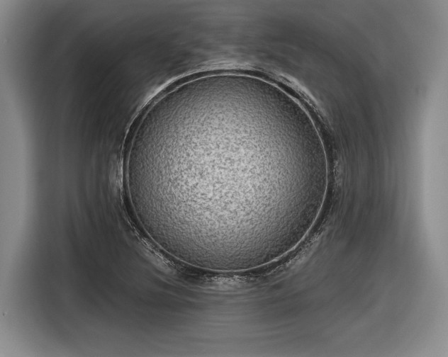 X0000116481220200912161245