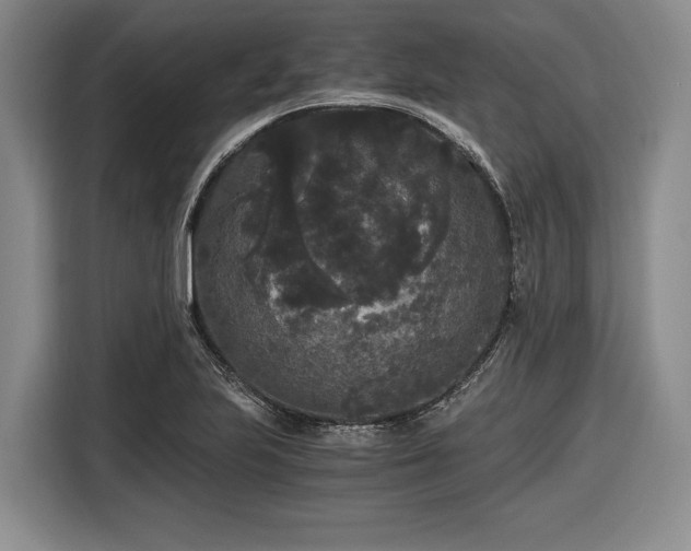 X0000116481223200912161245