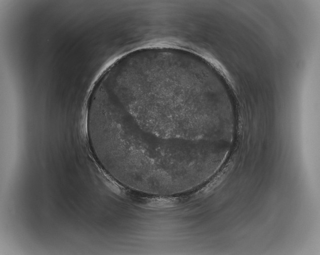 X0000116481224200912161245