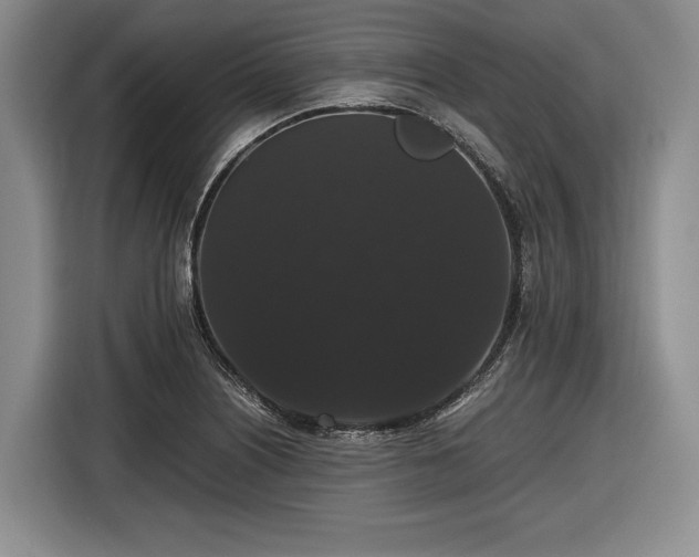 X0000116481226200912161245