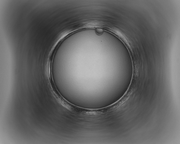 X0000116481227200912161245