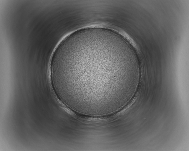 X0000116481232200912161245