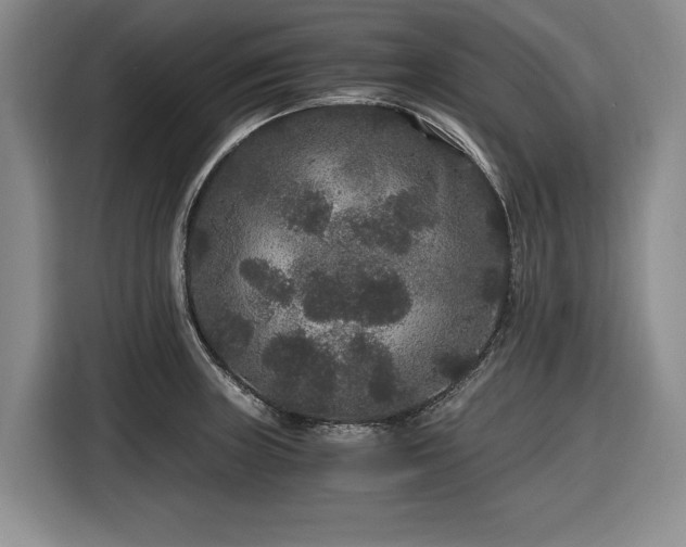 X0000116481235200912161246