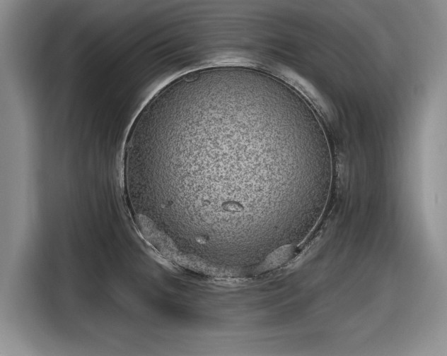 X0000116481236200912161246