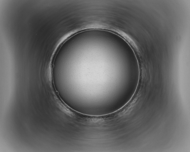 X0000116481238200912161246