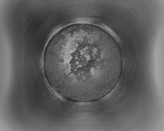 X0000116481240200912161246